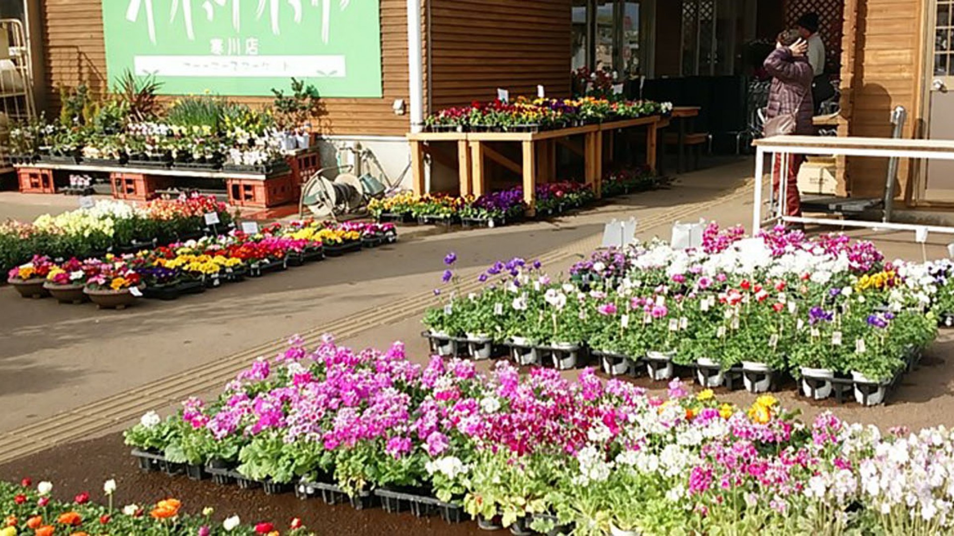 WAIWAI 市场（寒川店）