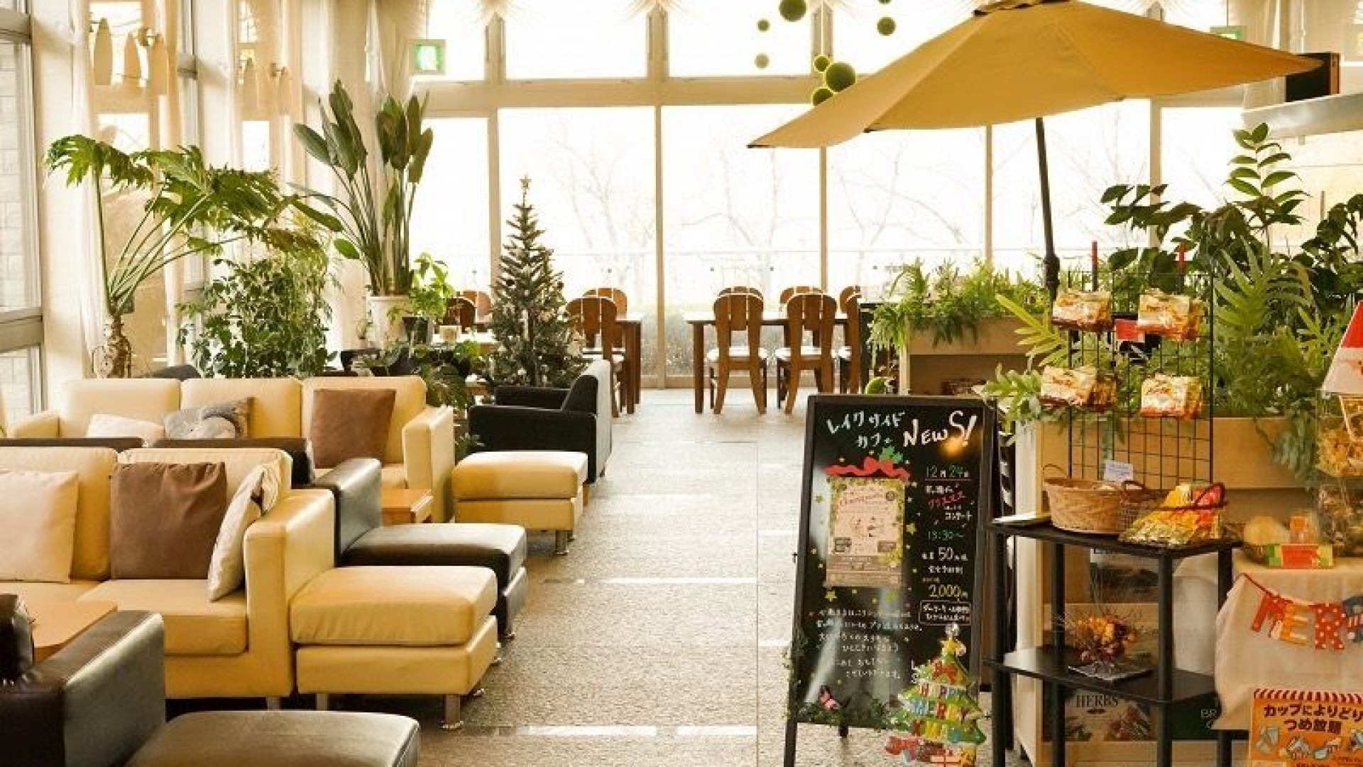 宫濑水坝湖畔咖啡馆