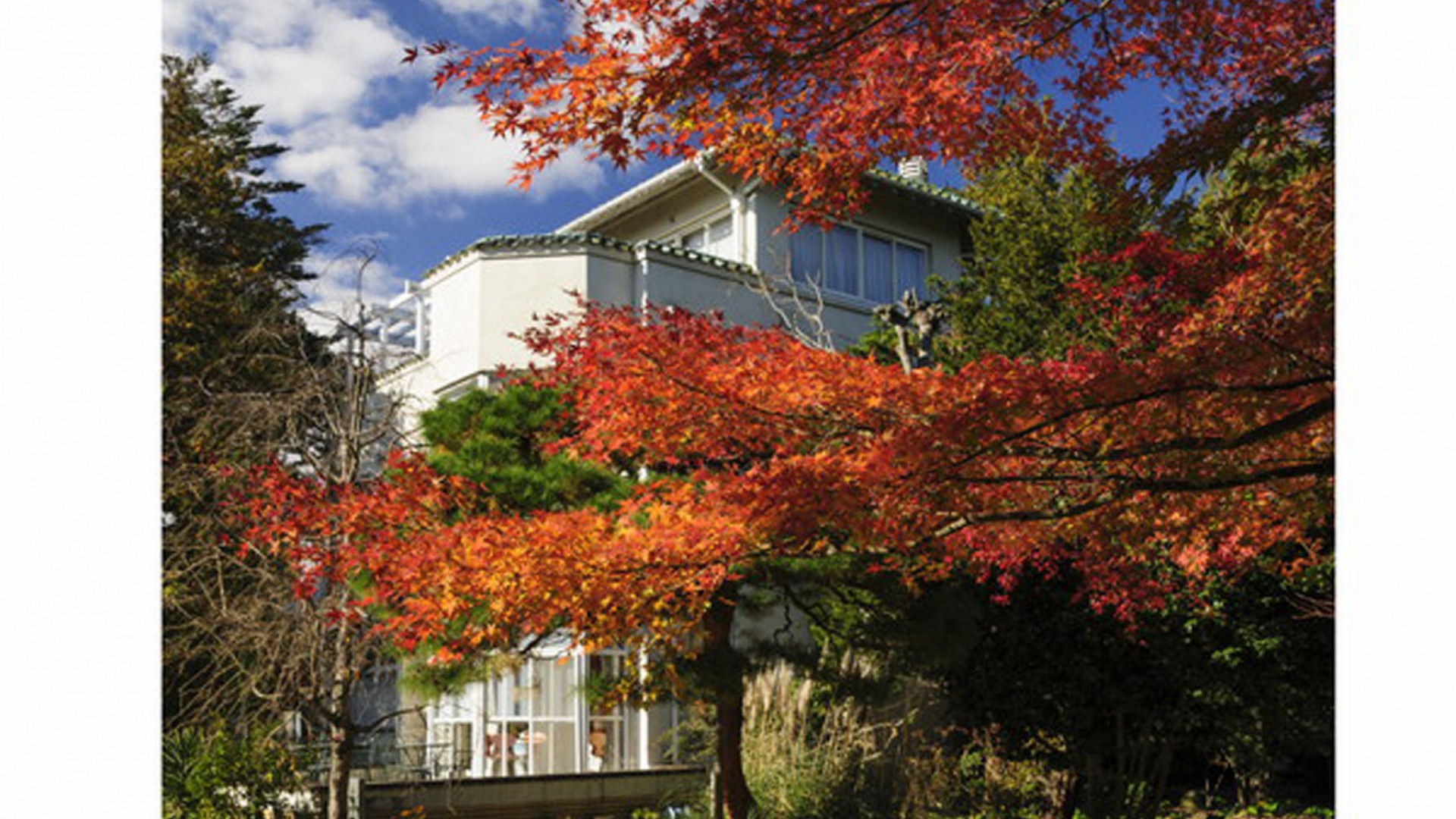 充满历史与文化气息的散步路线