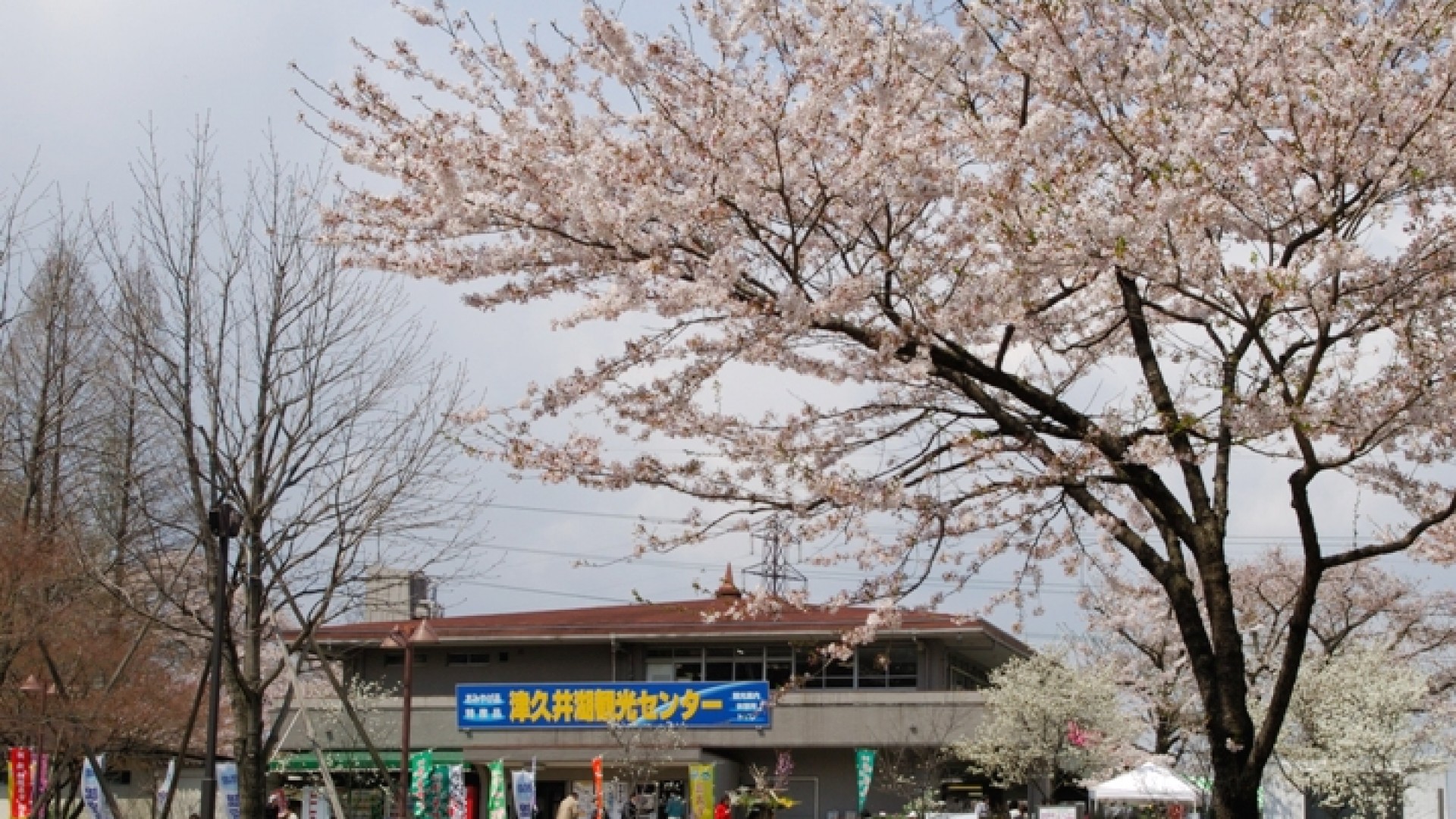 津久井湖观光中心