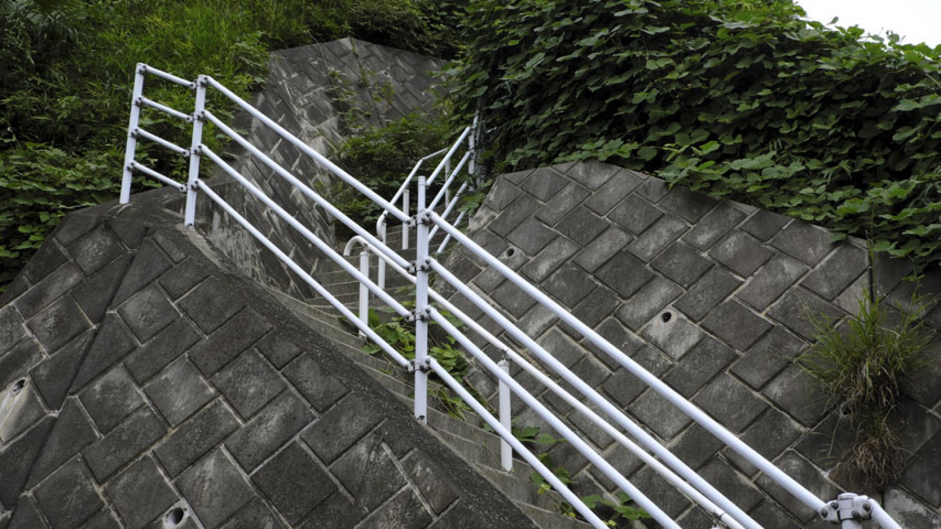 末长熊野森绿地（江户见樱·泰山之木）