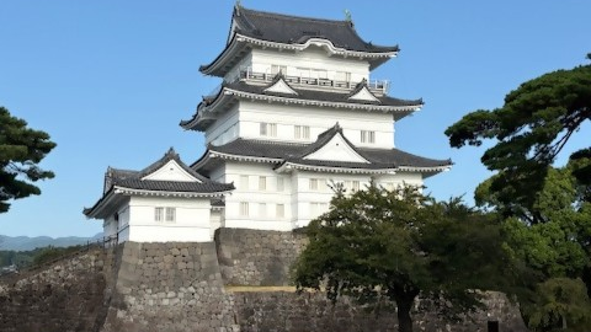 与志愿导览员一起漫步小田原城与城下町