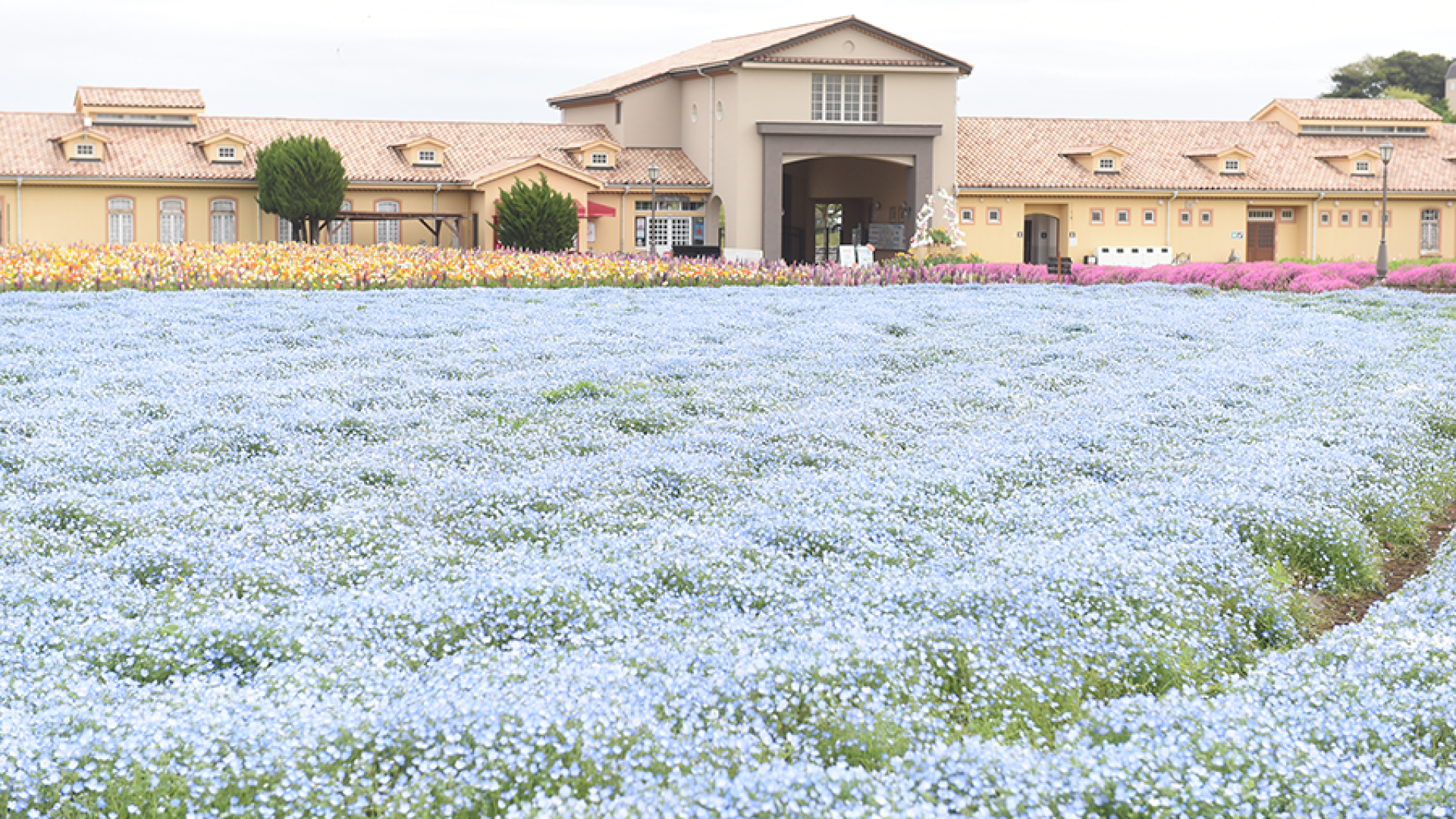 长井海之手公园太阳之丘