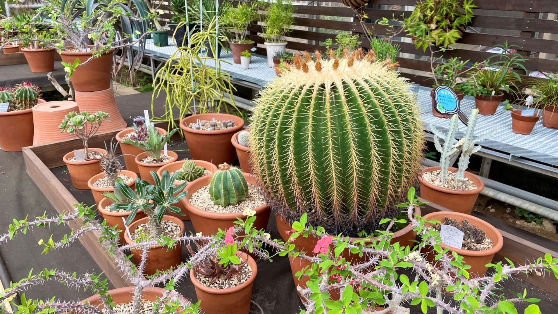 川崎市绿化中心