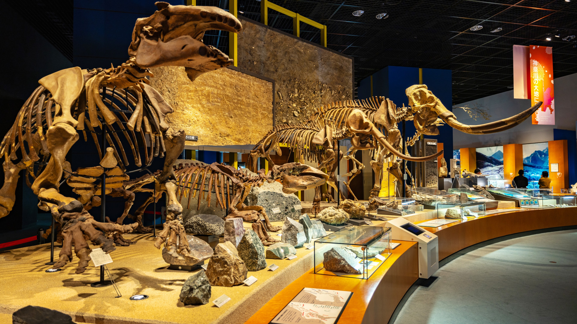 神奈川县生命之星·地球博物馆