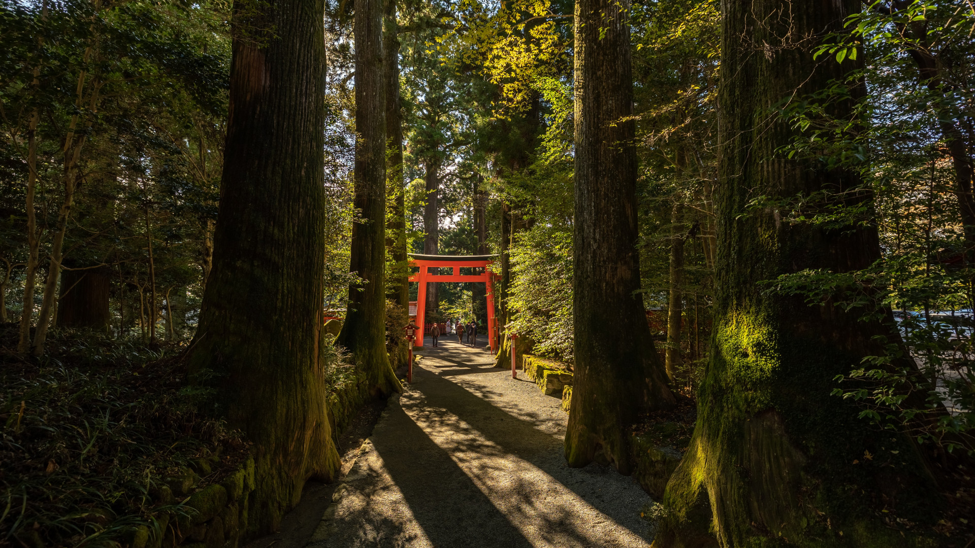 箱根神社·九头龙神社