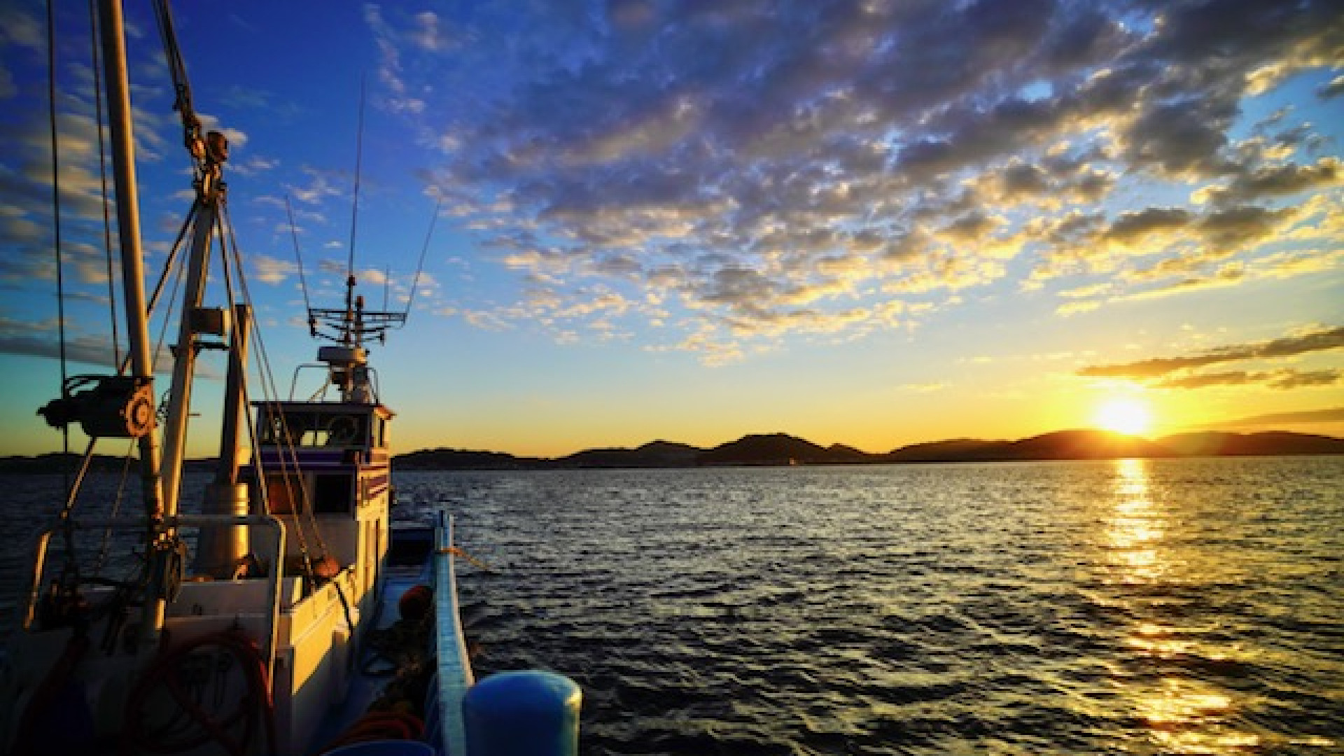 平敏丸 湘南银鱼直营店