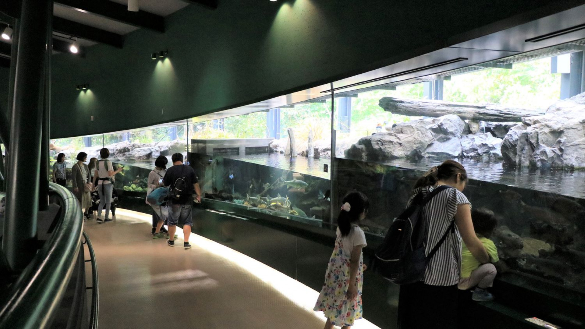 Sagamigawa Fureai Science Museum