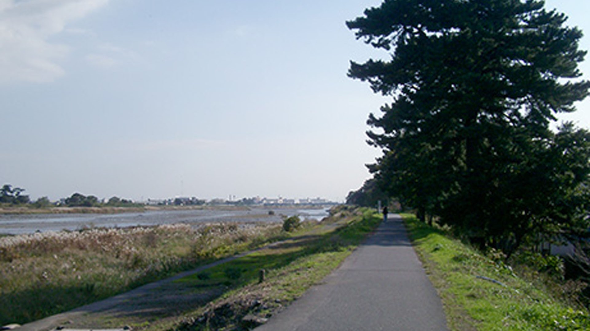 Con đường thông Ninomiya Sontoku no Yukari