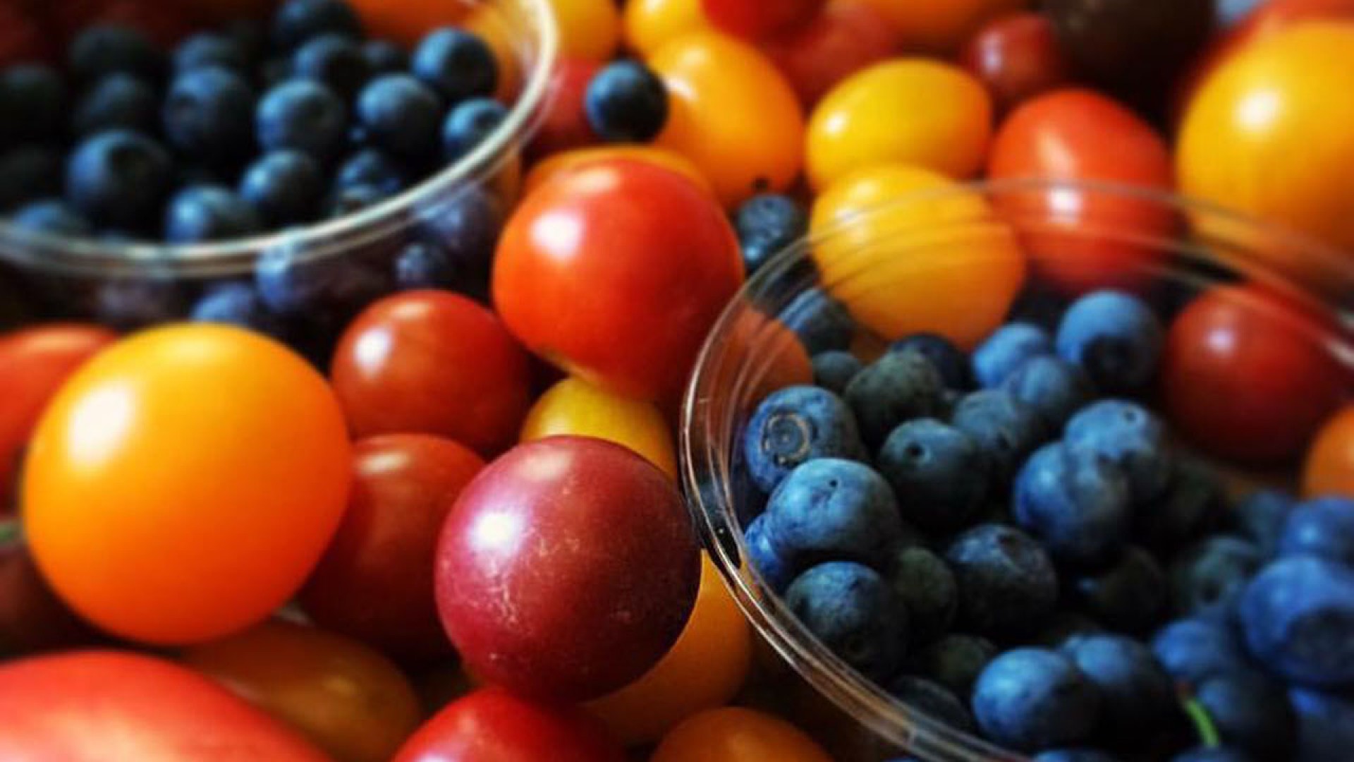 FLOWER GARDEN 饭岛农场