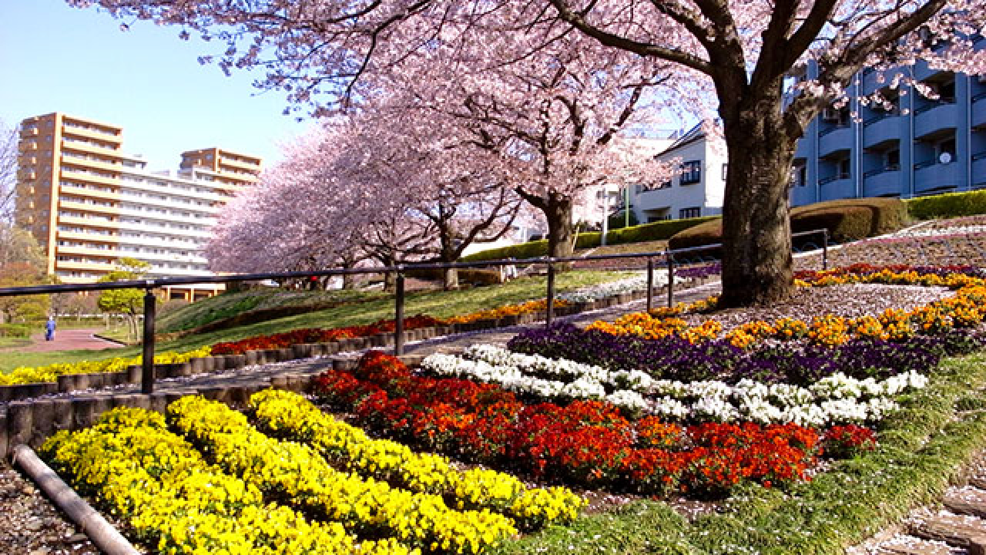 座间巿川蟹泽公园