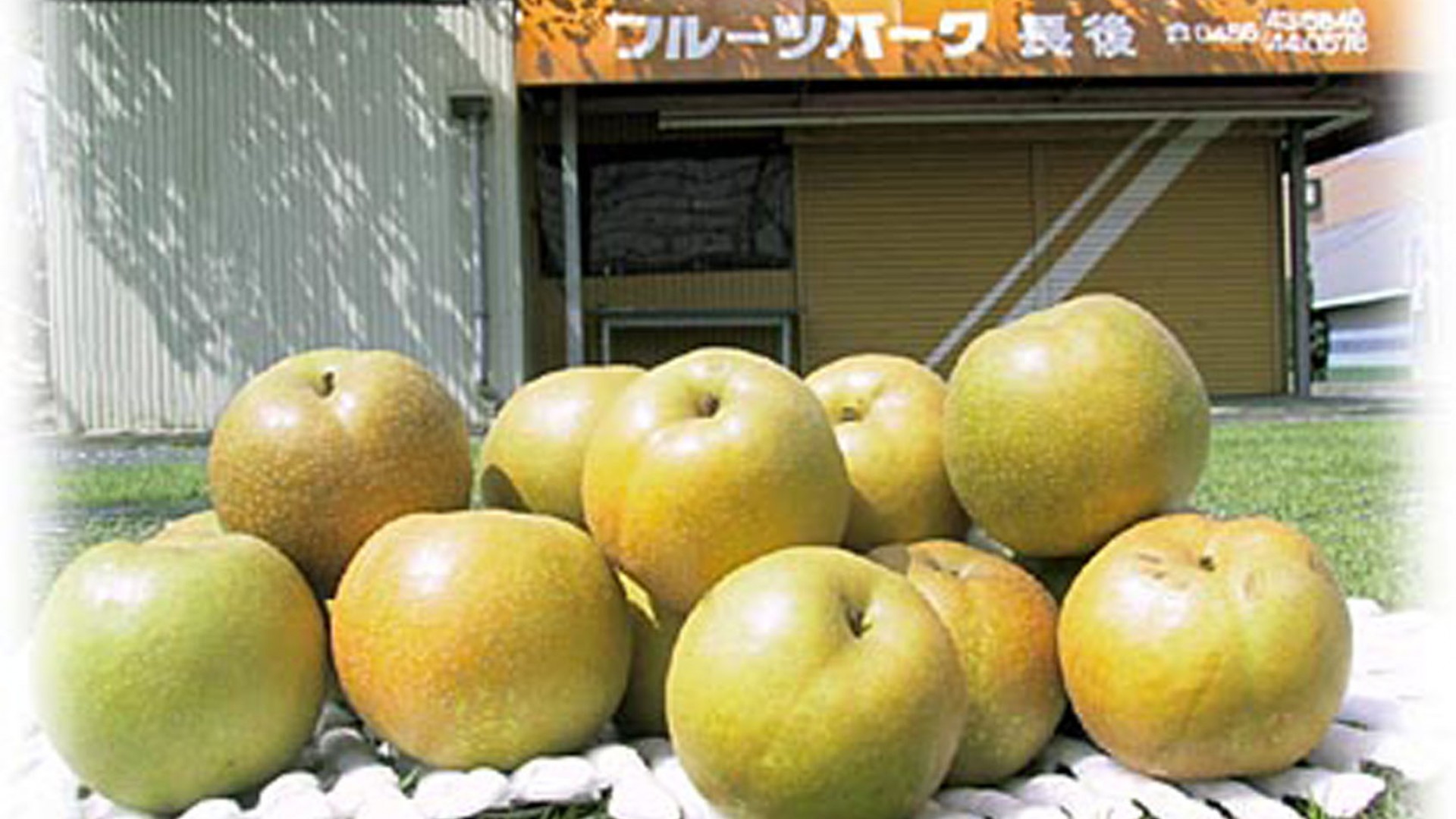 长后果树园（长后水果公园）