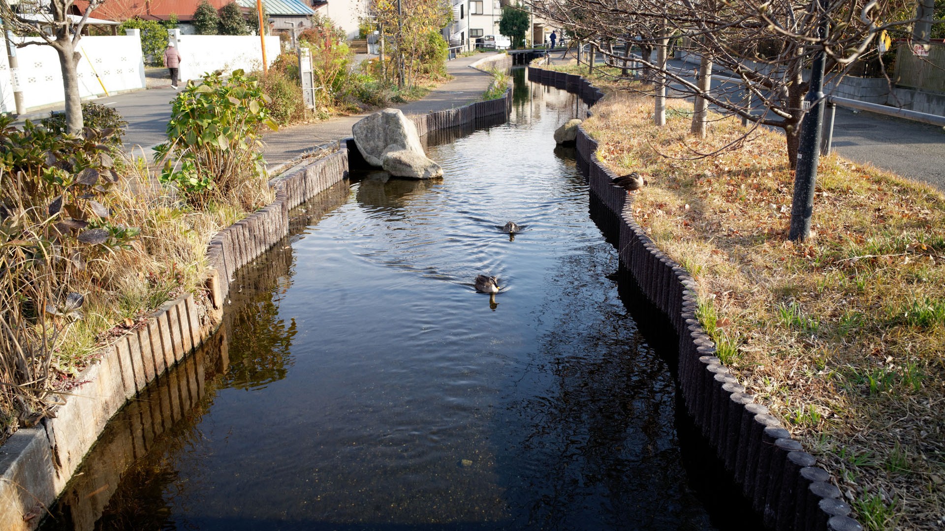 江川小溪散步小路