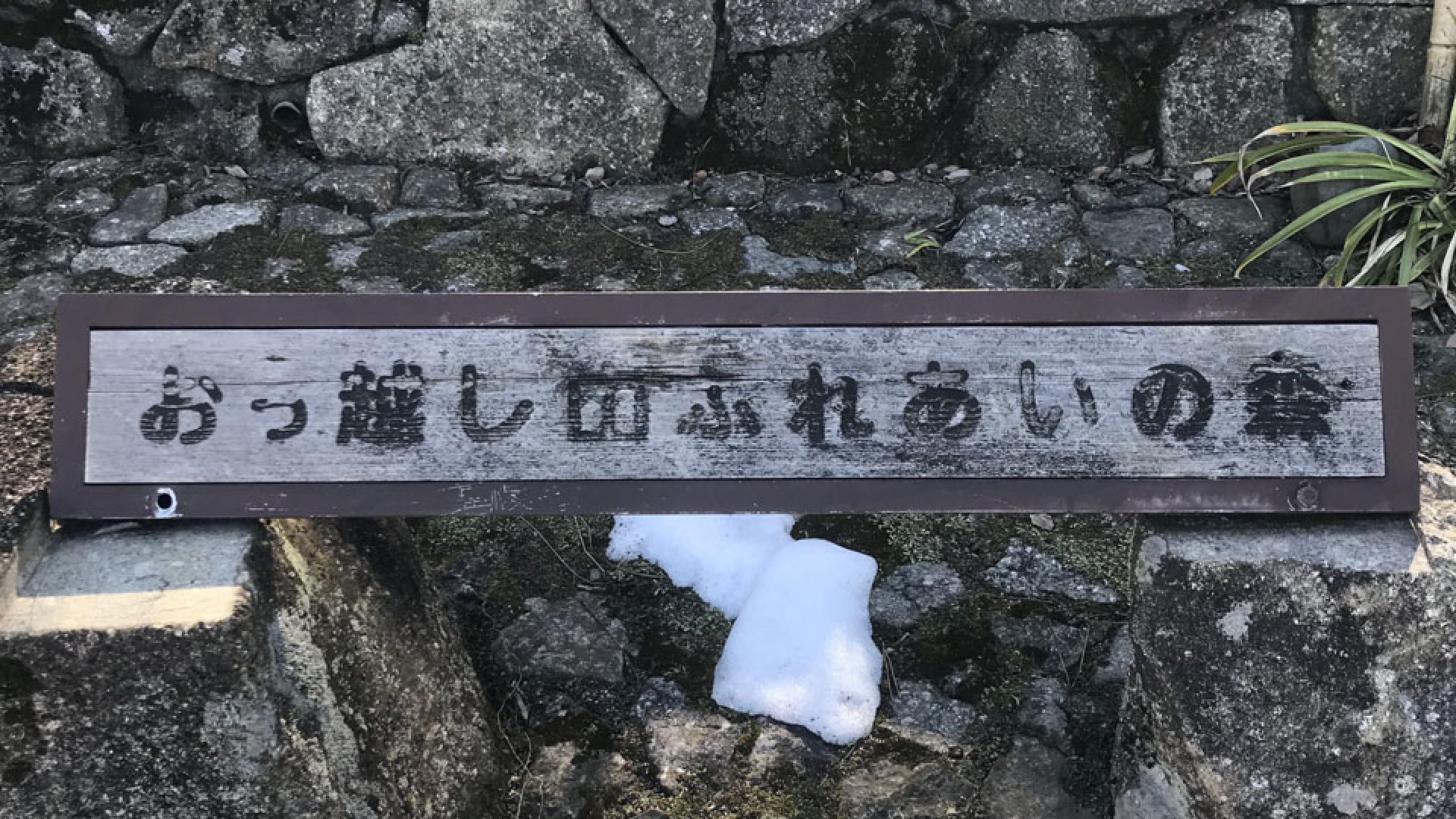 โอคโคะชิยะมะ ฟุเระอะอิ-โนะ-โมริ