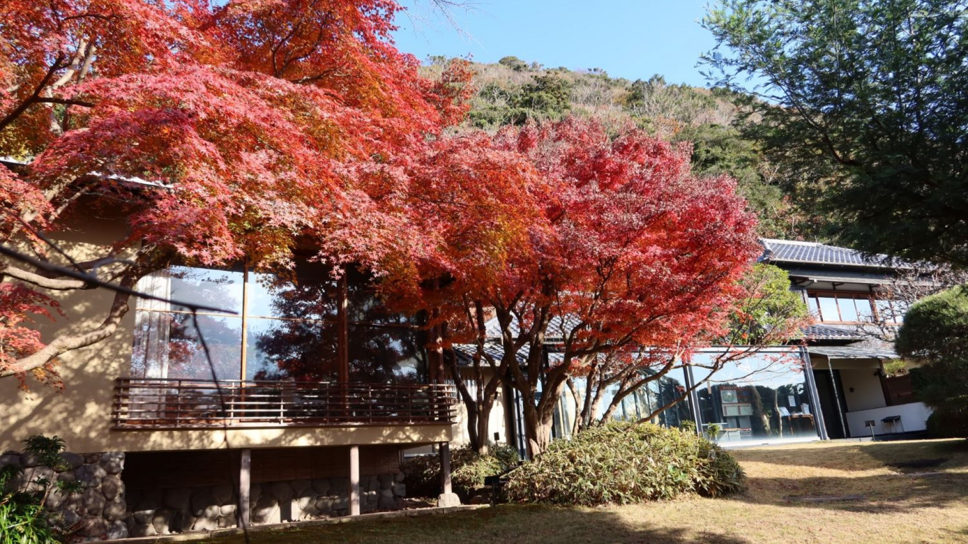 山口蓬春纪念馆