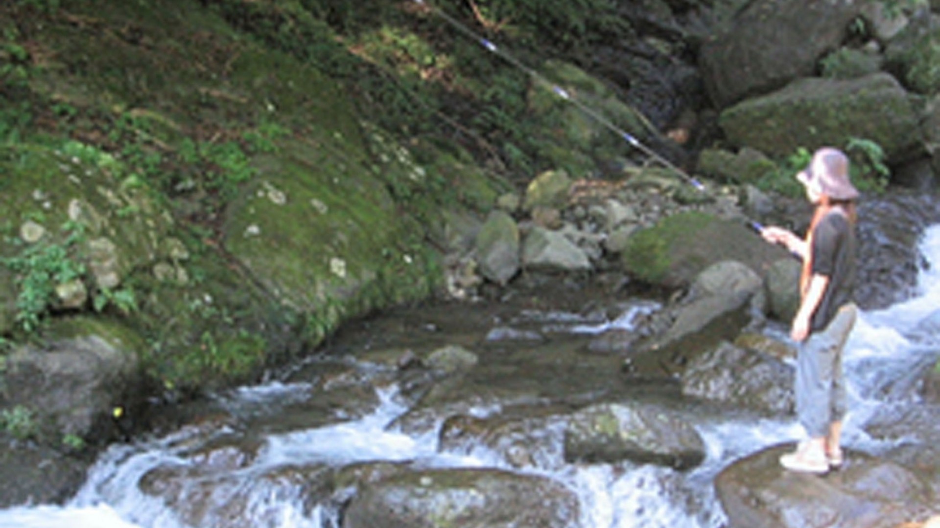 日向溪谷鳟鱼垂钓场 鳟鱼垂钓体验、体验抓鳟鱼、烧烤