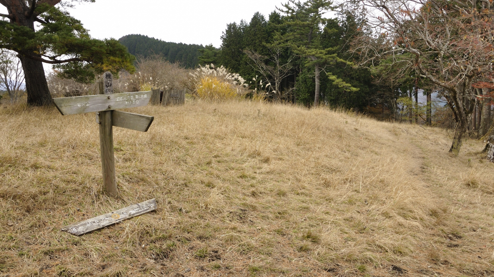 오모테탄자와 켄민노모리