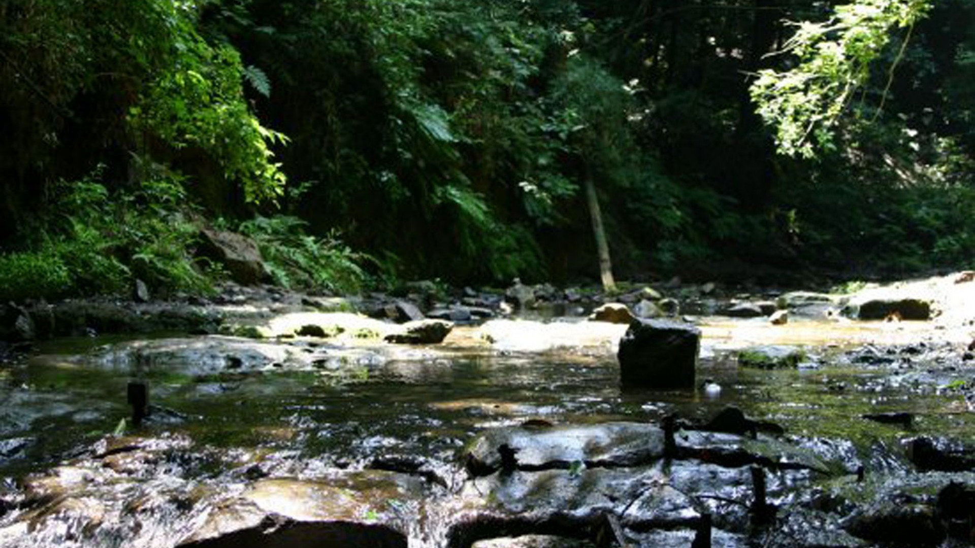 阵之下溪谷公园