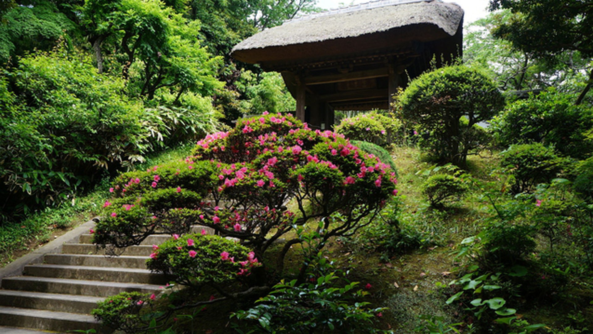 Đền Engakuji Kigenin