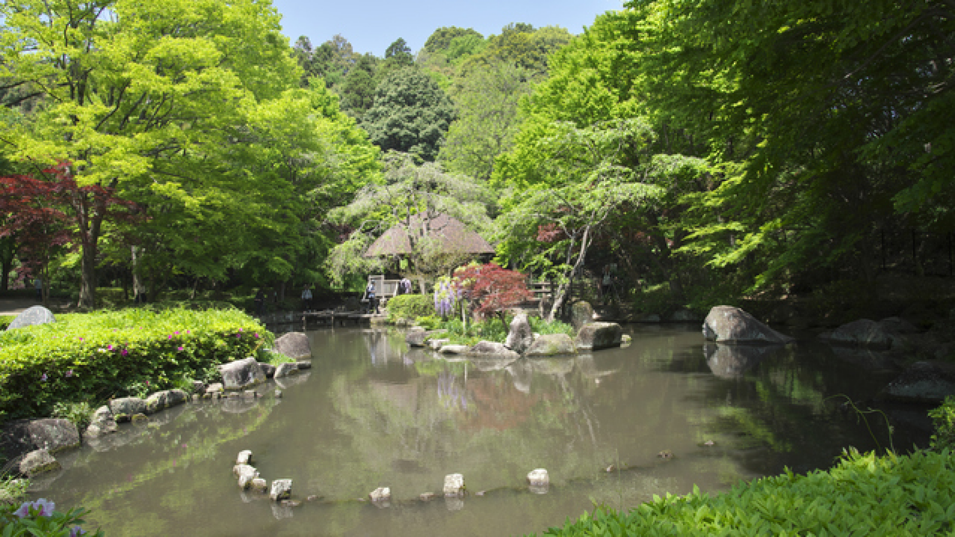 东高根森林公园