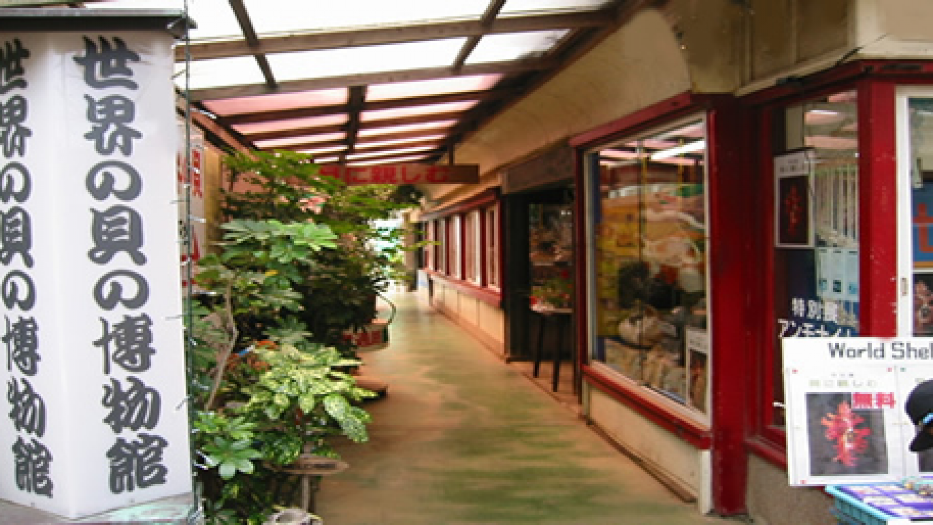 手工贝壳工艺品（世界壳牌博物馆）