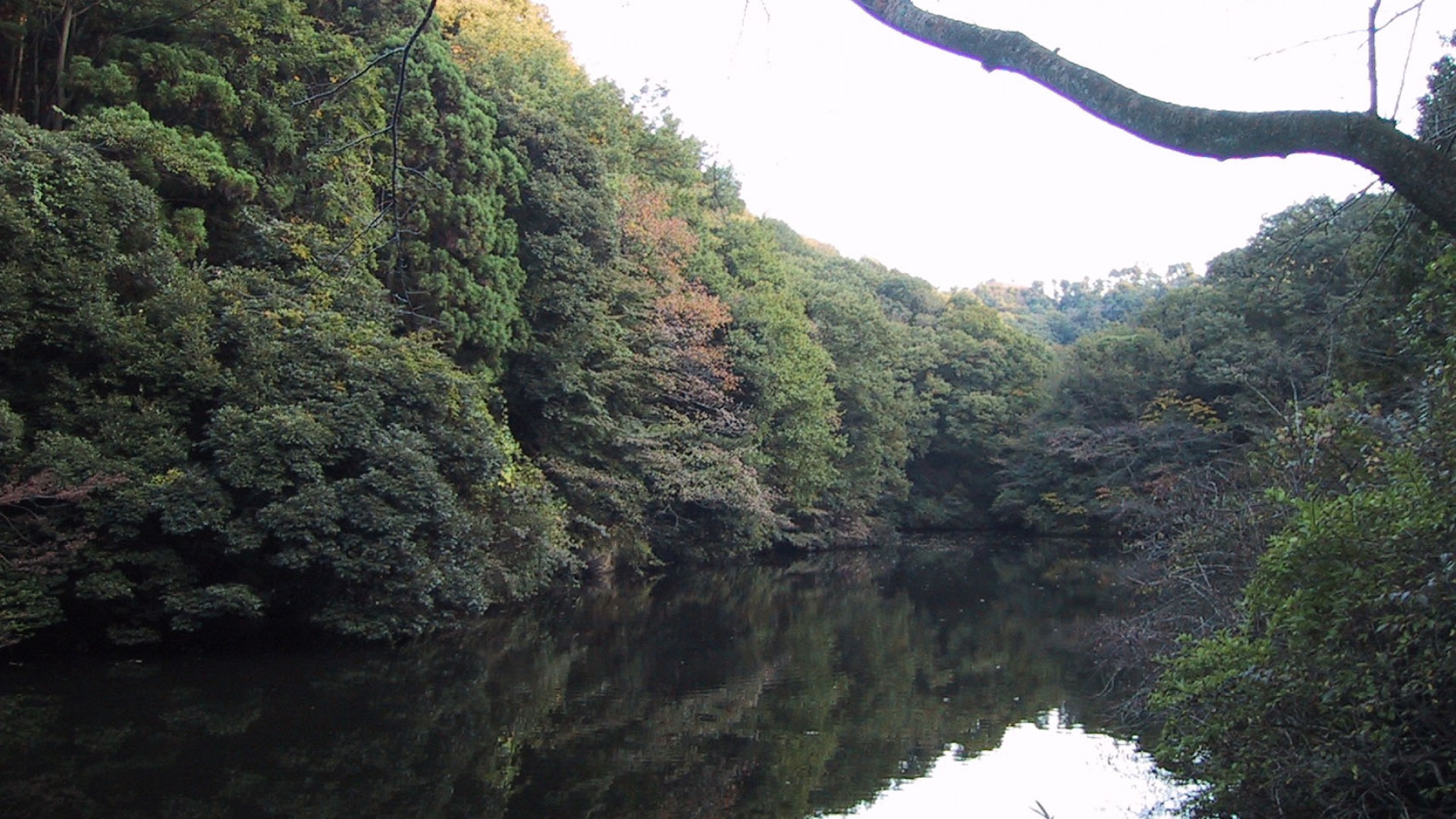 散在池森林公园