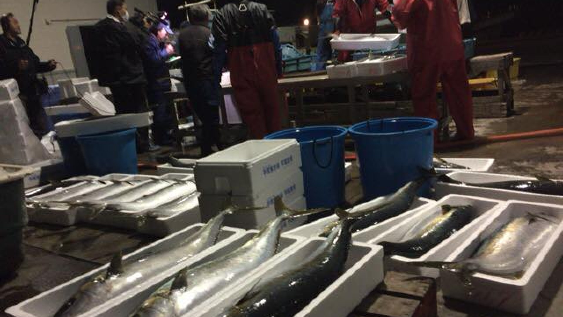 ท่าเรือใหม่ฮิรัตสึกะ