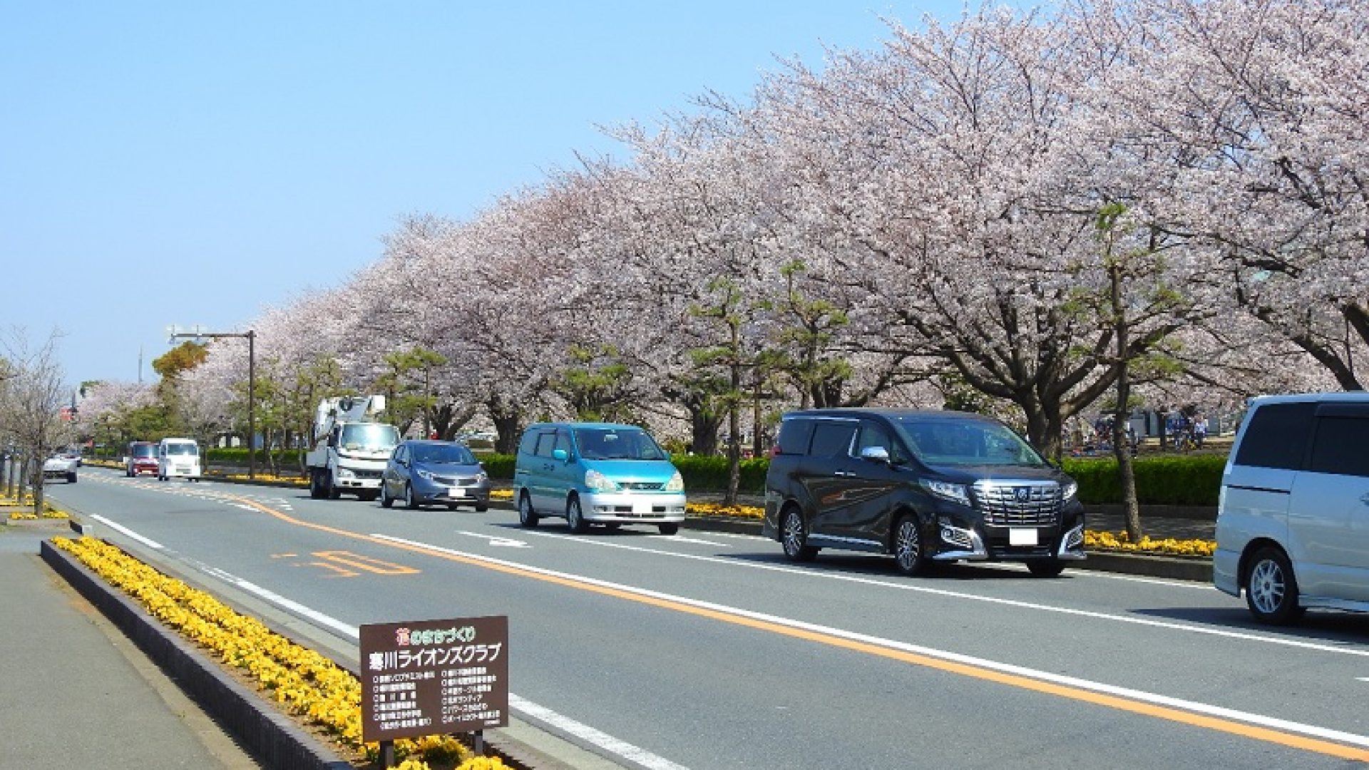 寒川中央公園旁邊的縣道（開運富士山景點：大鳥居和富士山）
