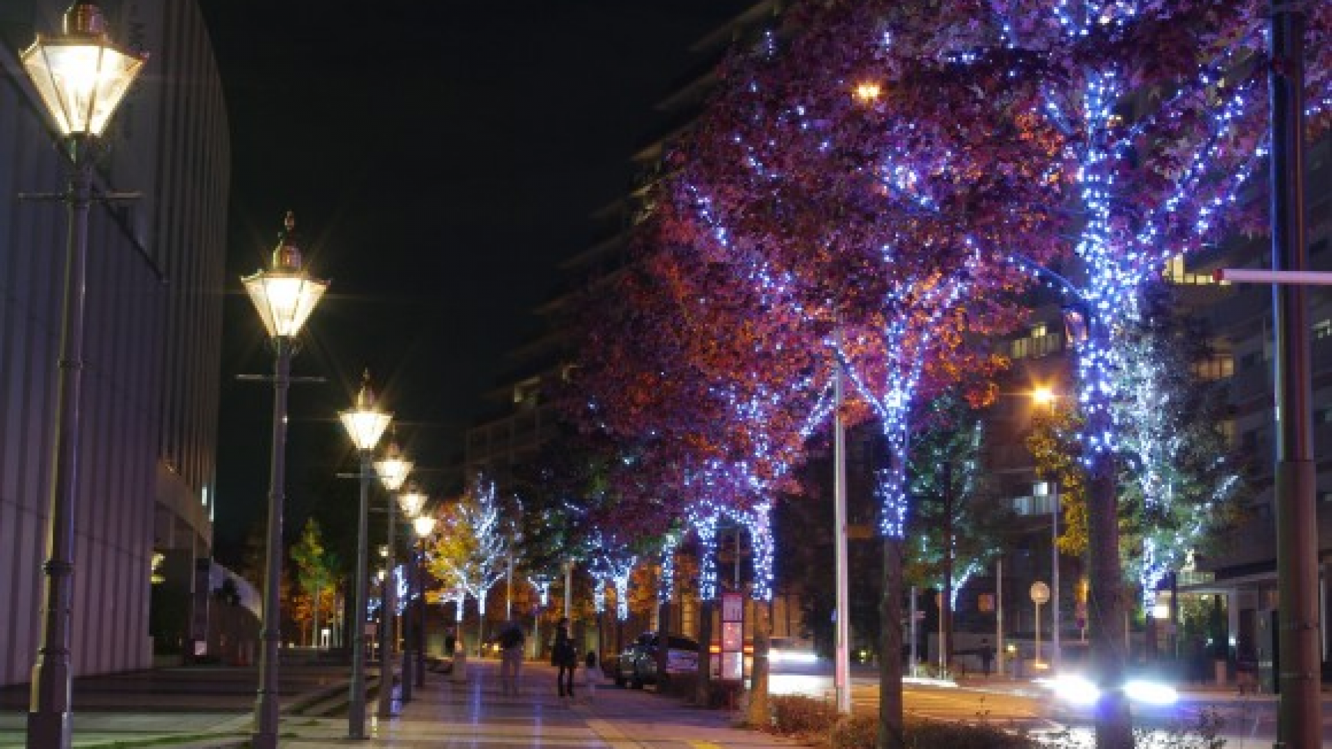 新百合之丘霓虹Kirara@艺术新百合 - 灯饰