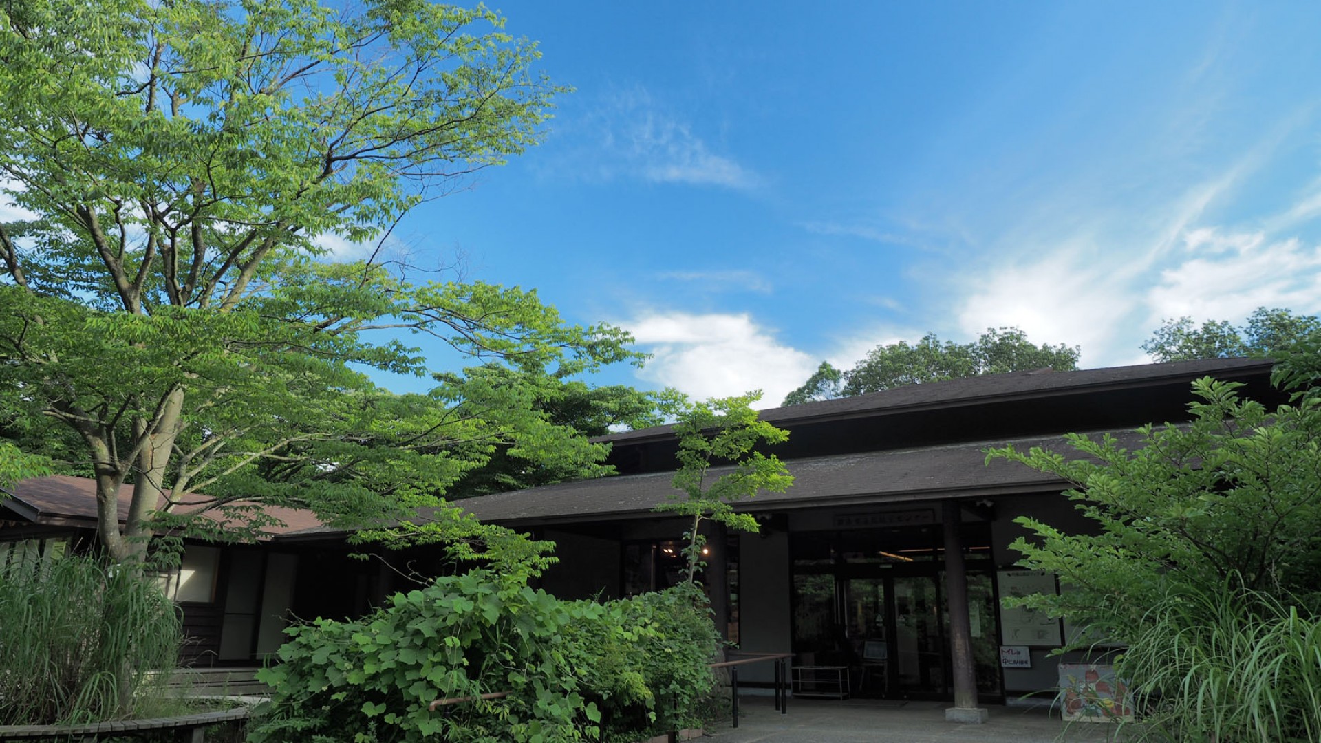 요코하마 자연관찰의 숲