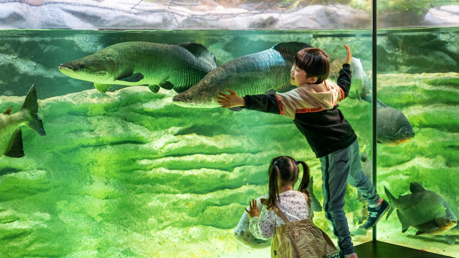 Kawasui 川崎水族馆