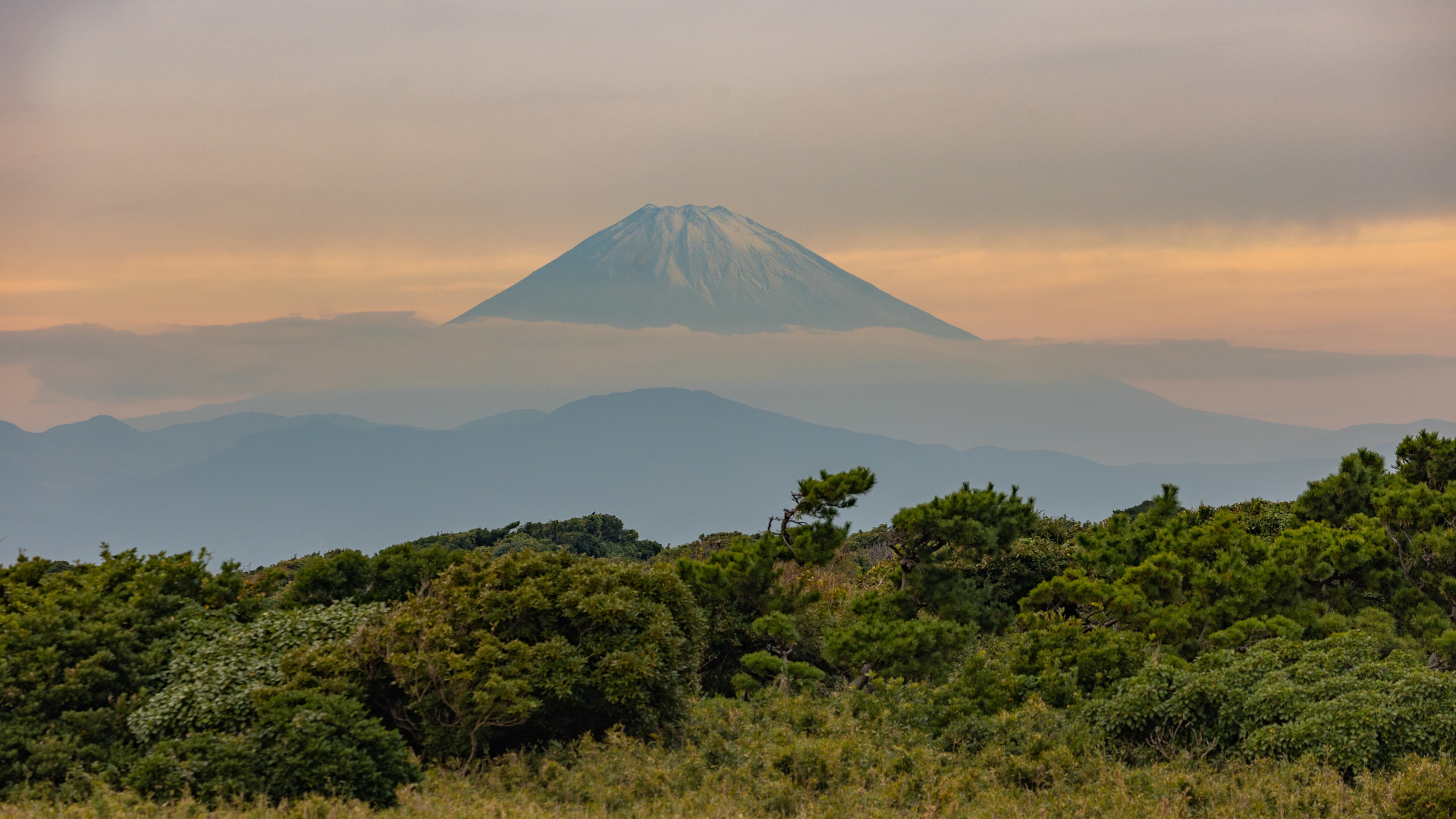 县立城之岛公园