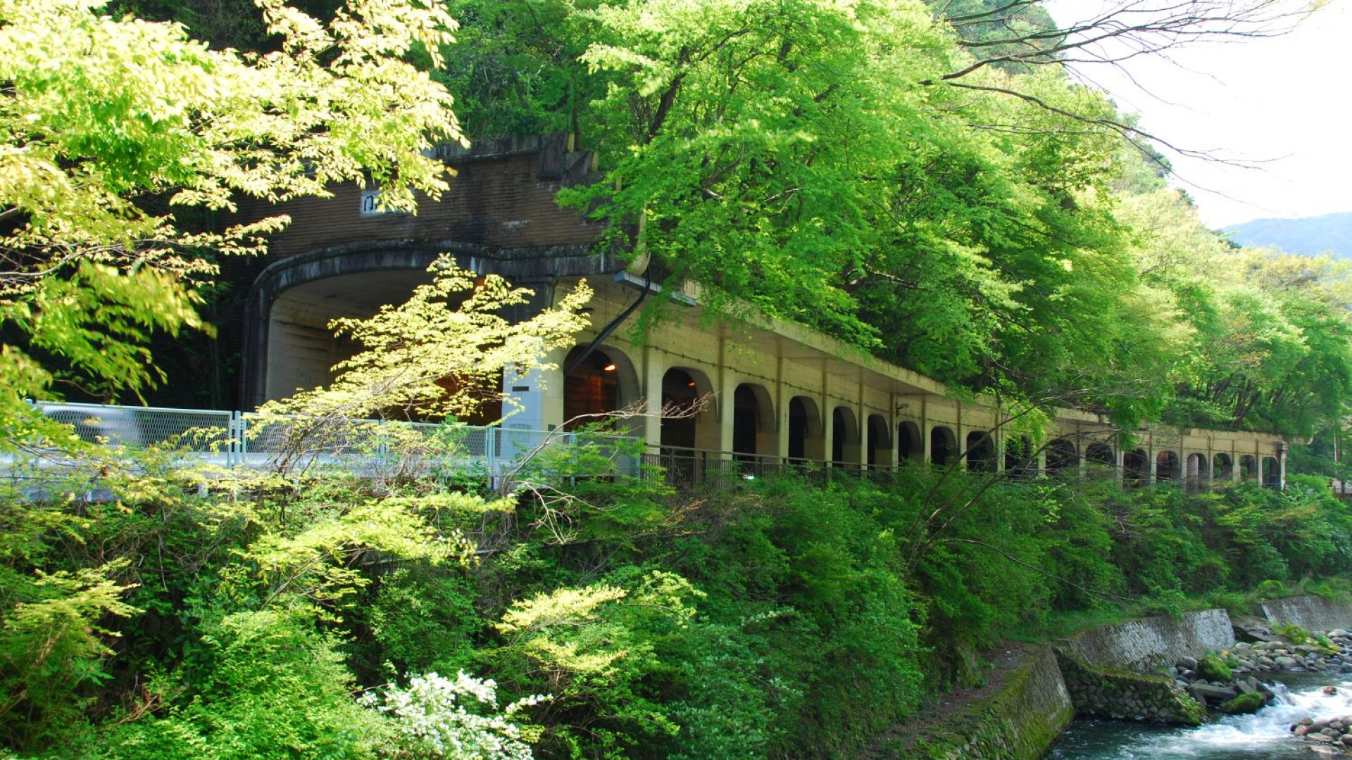 漫步箱根历史悠久的道路