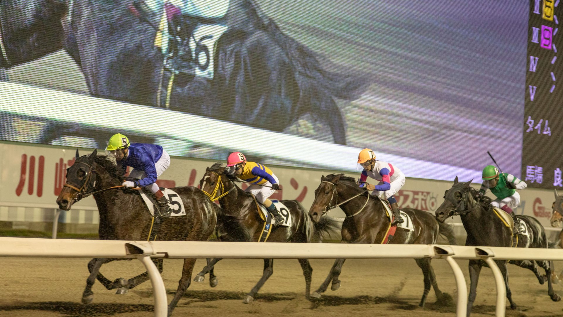 川崎竞马场（观战竞马）