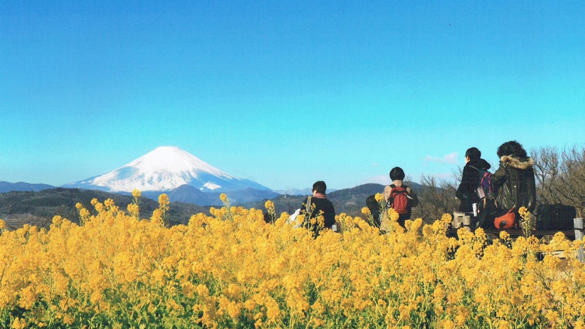 Nino屋（位于湘南二宫町观光协会内，当地土产、纪念品贩售店）