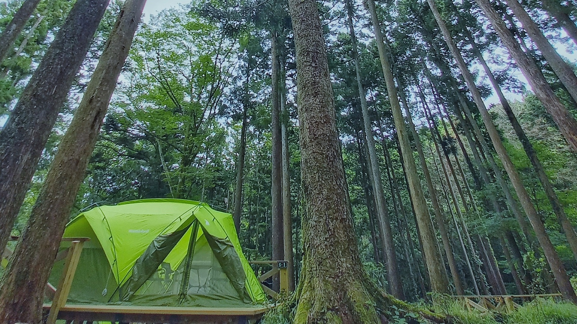 足柄森林公园 丸太之森