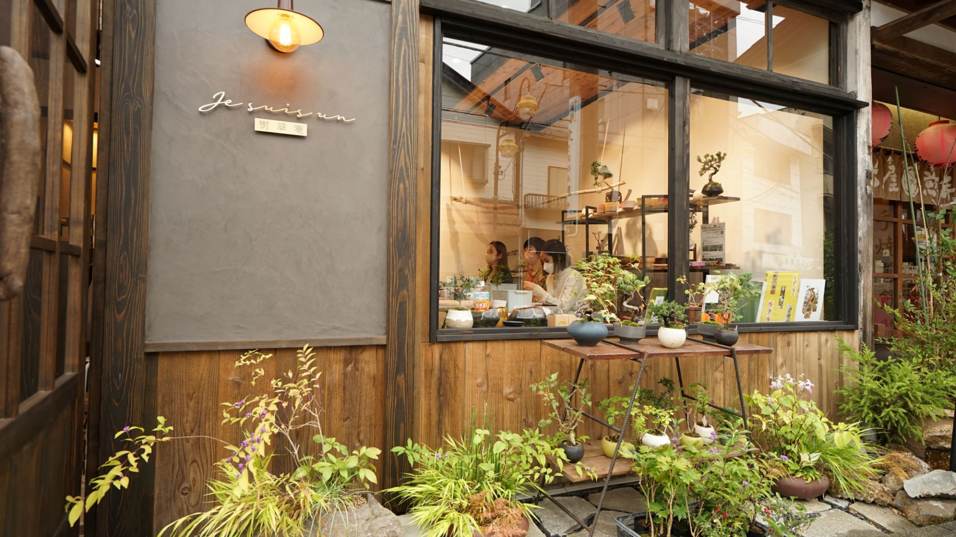 汤河原万叶子盆栽 树翠庵 