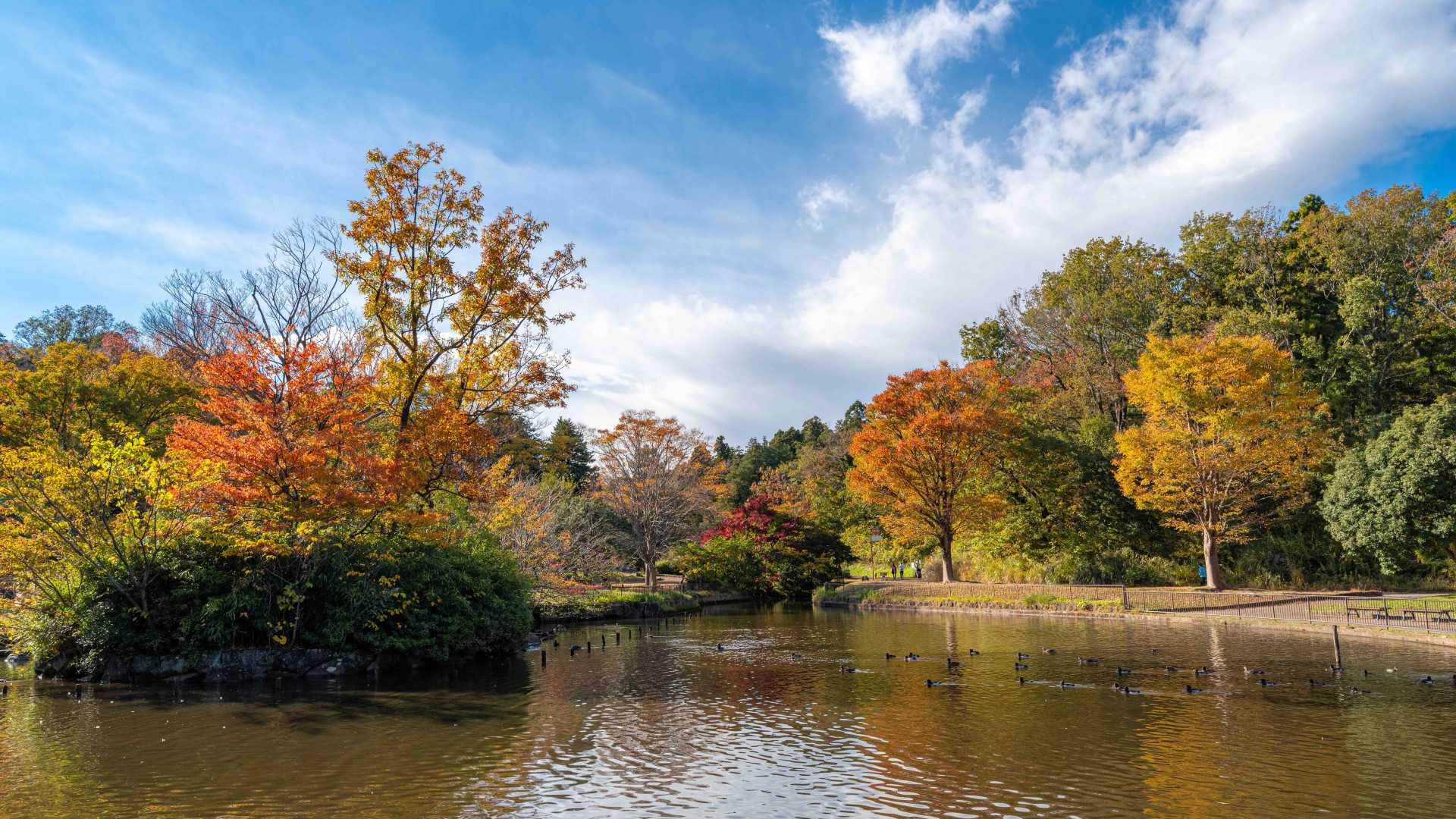 อุทยานธรรมชาติสำหรับเด็ก (สวนโออิเกะ)