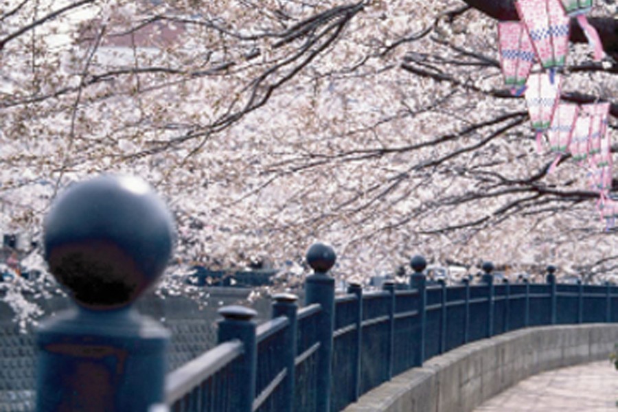 弘明寺观音通商店街