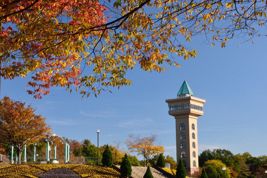 相模原朝沟公园