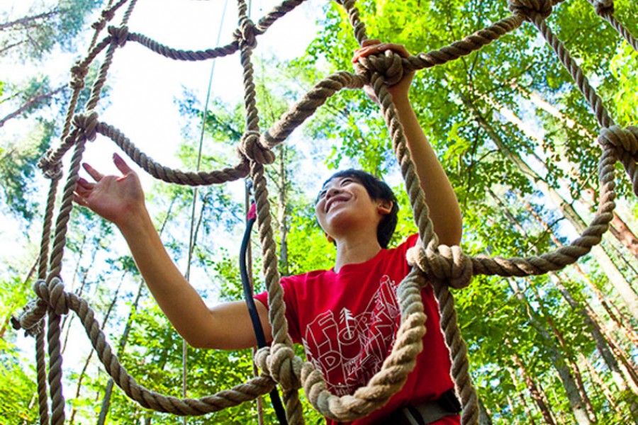 小田原森林探险