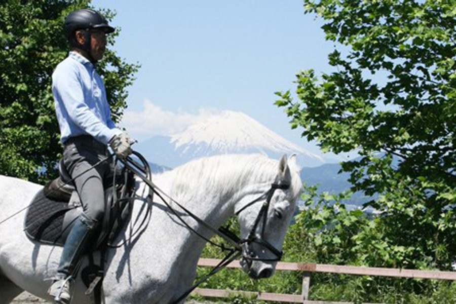 秦野國際騎馬俱樂部