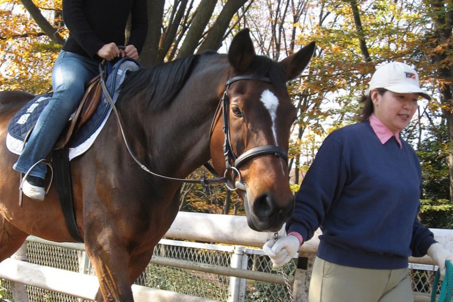 马博物馆（根岸赛马纪念公园）