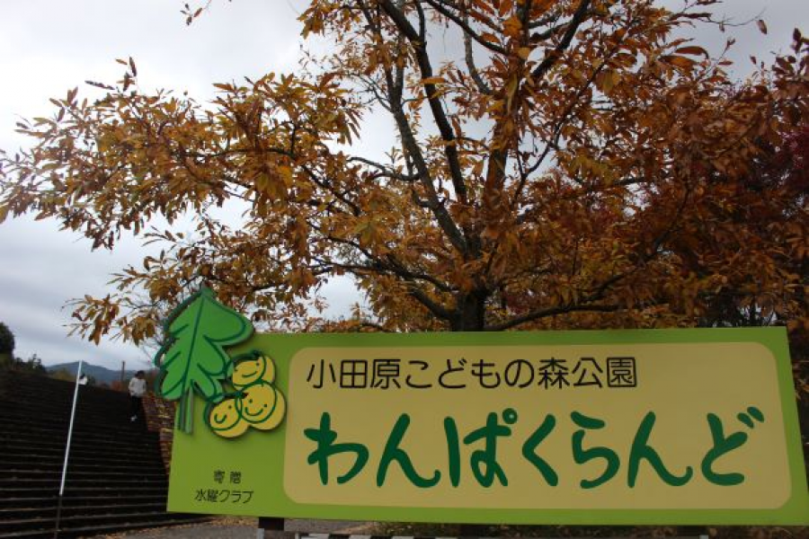 오다와라 성 어드벤처 (완파쿠 랜드 내)