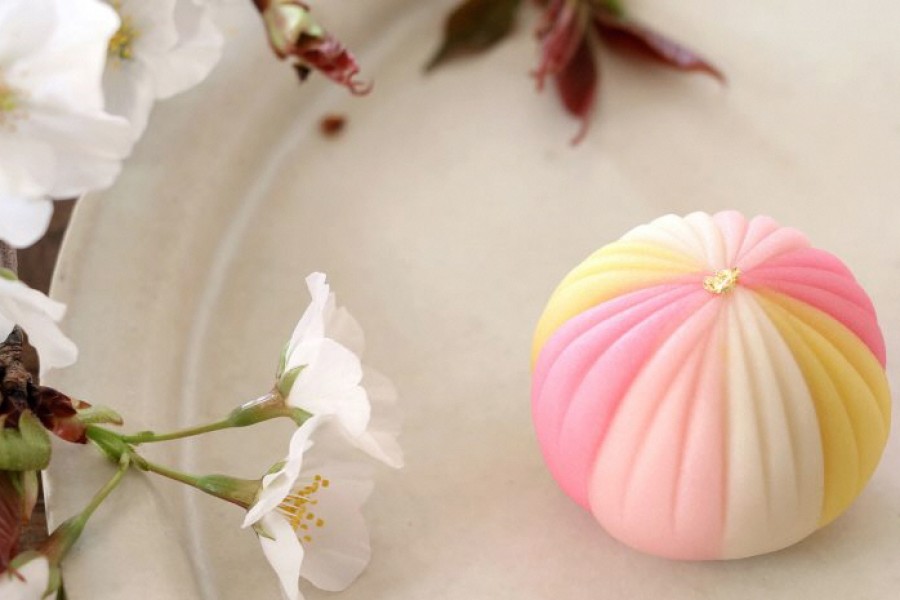 镰仓·日式点心制作体验