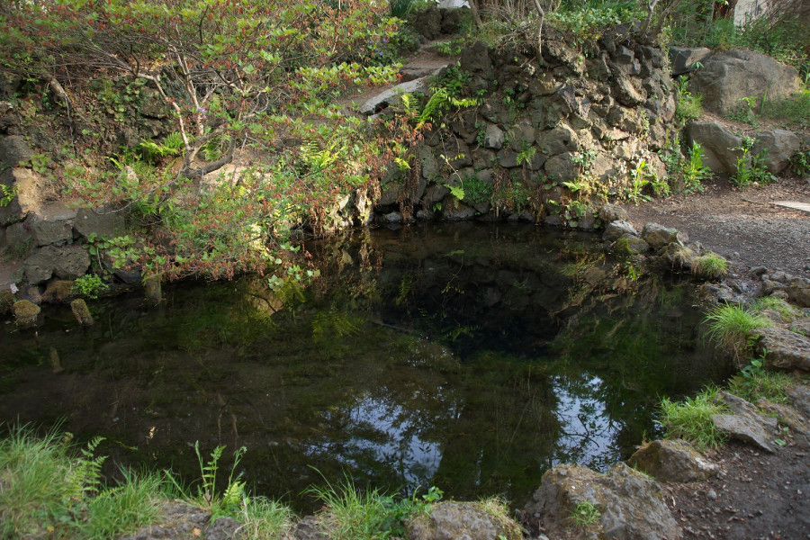 忍野村观光协会（忍野村观光信息中心）