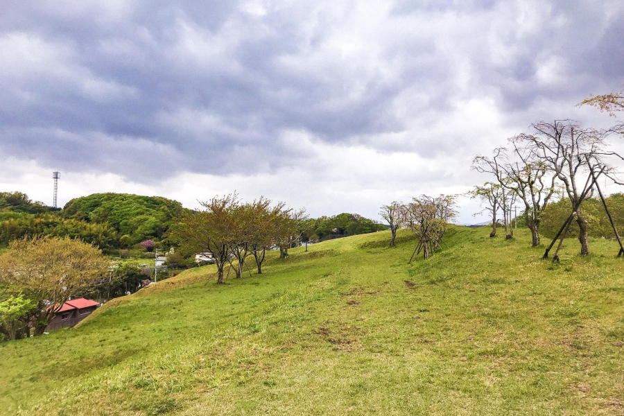 飞谷津之丘（富士山雄姿）