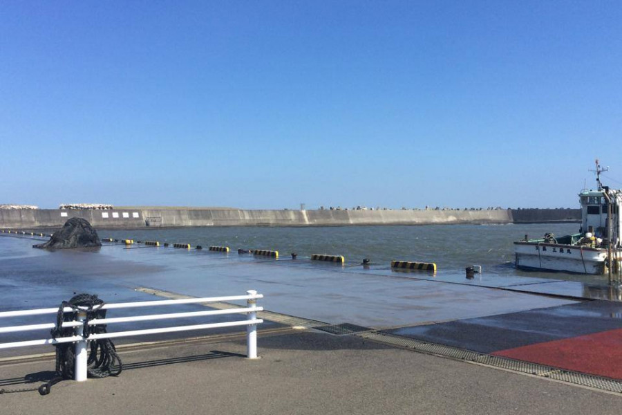 ท่าเรือใหม่ฮิรัตสึกะ