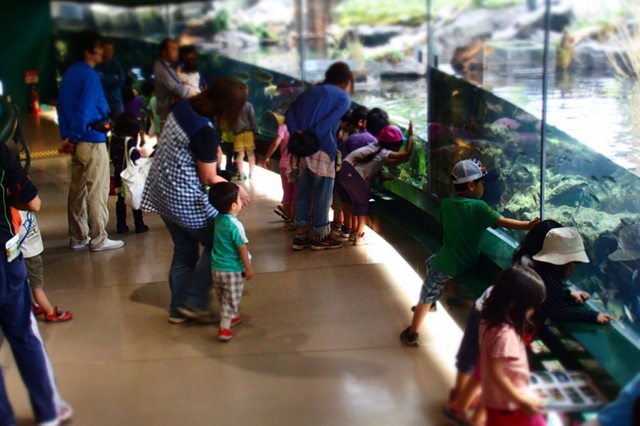 Sagamigawa Fureai Science Museum