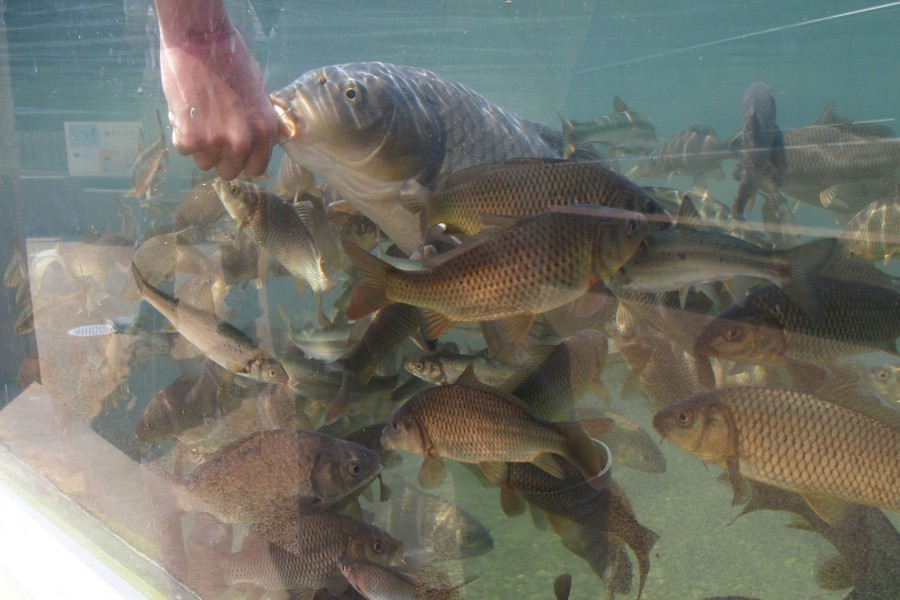 Sagamigawa Fureai Science Museum